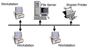 Bus  network topology indicated with server, connected terminals and network printer.