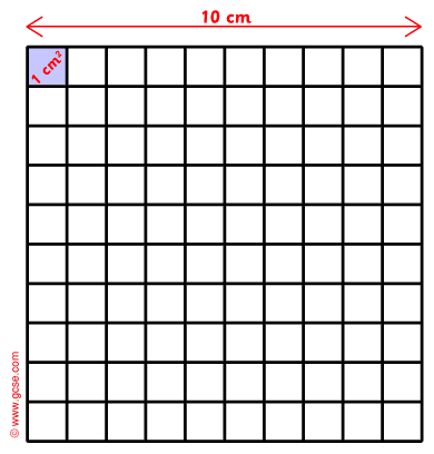 a 10 cm square metre broken up into 100 square centimetres